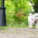 장군봉 근린공원 화장실 이미지