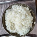 대변 빛로드 멸치조 | 화덕에구어락 부산 기장 대변항 애견동반 식당 | 강아지 데려갈 수 있는 내돈내산 화덕 고등어구이...