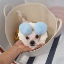 살롱드미미즈 이미지