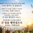 토요묵상 - 자유와 감사 이미지
