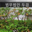 법무법인두경인천 네이버블로그