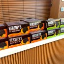 상예동-15 | 제주 신화월드 맛집 중문고등어쌈밥 _ 중문가볼만한곳