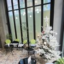 소망미용실 | 남자 머리 황금손 오즈미용실 애즈펌 리얼 후기 성현디자이너