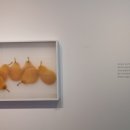 은경상회
