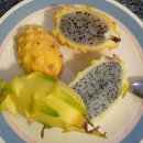 용과 [Dragon fruit ; Pitaya] / 열대과일 이미지