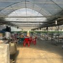 월롱농장 이미지