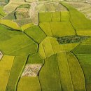 이나태양광발전소 이미지