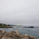다이브11리조트&팬션 네이버블로그