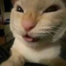 고래 생선아줌마 | 오키나와 갔다왔는데 바캉스는 아닌