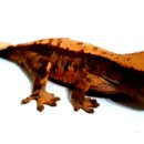 통큰어린이집 이미지