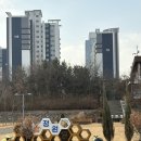 (3월) 당뇨병 건강교실 『운동』 | [공지] 코칭일지ㅣ#1.바나나스포츠 송도 오픈기념 무료 러닝클래스 진행 준비과정, 후기, 추구하는 러닝