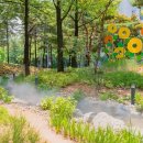 오목교역 5번출구(5번출구 옆) 이미지