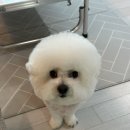 페토브 동물병원 이미지