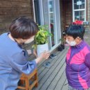 반려식물키우기 이미지