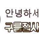 바디스트 이미지