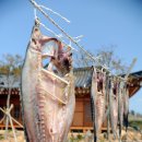 최강푸드 이미지