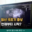(주)지엠팜 | 임신 극초기 증상 언제부터 시작? 직접 경험한 4주차 찐 후기 정리