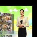 (주)라파프로폴리스