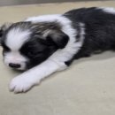 신림카정비공업사 이미지