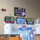 보성밧데리할인판매점 | 제주 출발 완도행 실버클라우드 아이랑 탑승 후기 차량 선적 정보