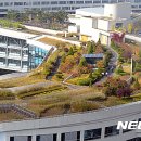 청사큰길 이미지