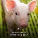 봉양도서관 | 25 - 10