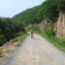 도리2리 이미지