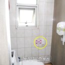 공용시장 이미지