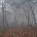 청평1리 마을회관 이미지