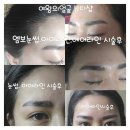 파스텔아이/비발디 네이버블로그