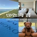 수영장 | 강릉 신라모노그램 디럭스 패밀리트윈 오션뷰 : 내돈내산/수영장 후기