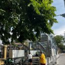 왓포태국마사지 | 둘이 태국여행 ep.03 (왓아룬 짧은 치마 방문 후기, 왓포타이마사지스쿨 솔직후기, 방콕꽃시장 기념품)