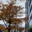 늘다봄의원 이미지