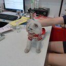 민트동물병원 이미지