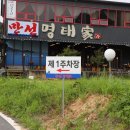 만선 명태가