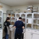 서산서남초등학교 이미지