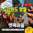 강원도 영월 가족여행 필수코스 뗏목마을 체험후기 가격및 주차 총정리!