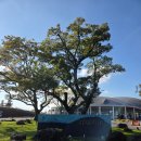 평화4(별자리) | [제주] 스타빌 - 글램핑, canvas(캔버스) 5m×6m, 프리미엄 BBQ, 별자리관측, 불멍