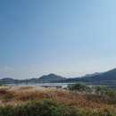 학포수변생태공원 이미지