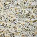 태형상회 이미지