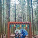 신흥2리(동백마을)농촌체험휴양마을 이미지