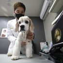 부안동물병원 이미지