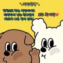 두유네 애견미용실 | 천안 애견유치원추천 두정동애견유치원 미뇽후기