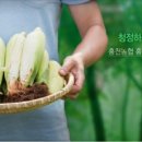 큰마을 농장 네이버블로그