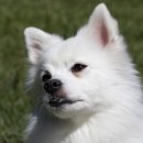 언주로7길 이미지