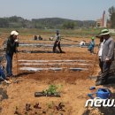 정진석농장 이미지