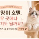 경기도 수원시 팔달구 권광로340번길 | 고양이 호텔, 아무 곳에나 맡겨도 될까요? 보호자가 꼭 확인해야 할 7가지 🐱