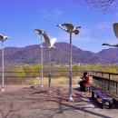 유니온파크 이미지