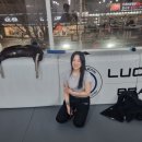 센트럴짐주짓수