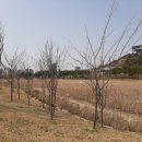 빛가람동호수공원 주차장 이미지